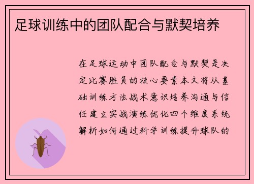足球训练中的团队配合与默契培养